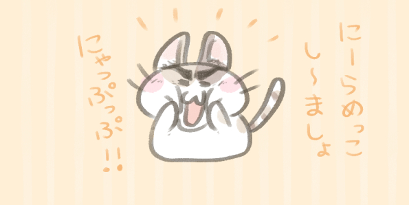 変顔猫