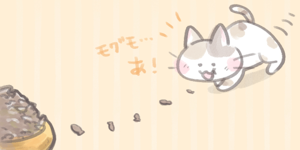 猫と餌