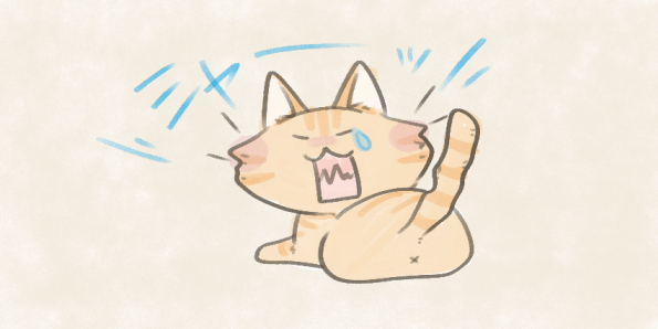 怒る猫