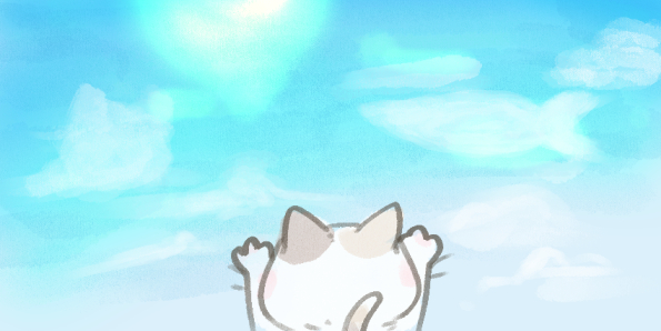 空と猫