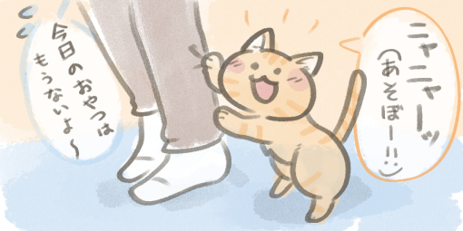 じゃれる猫