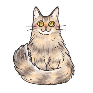走る猫 可愛いアイコン イラストの無料素材サイト フリーペンシル