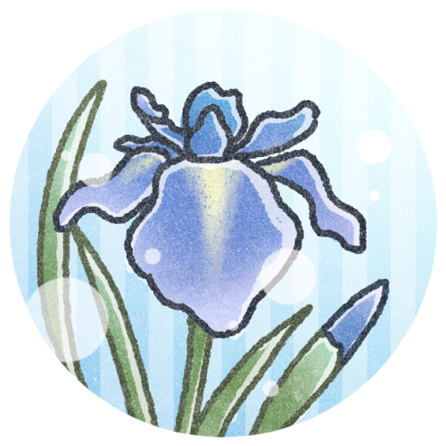 菖蒲のイラスト 可愛いフリーアイコン イラストの無料素材サイト フリーペンシル