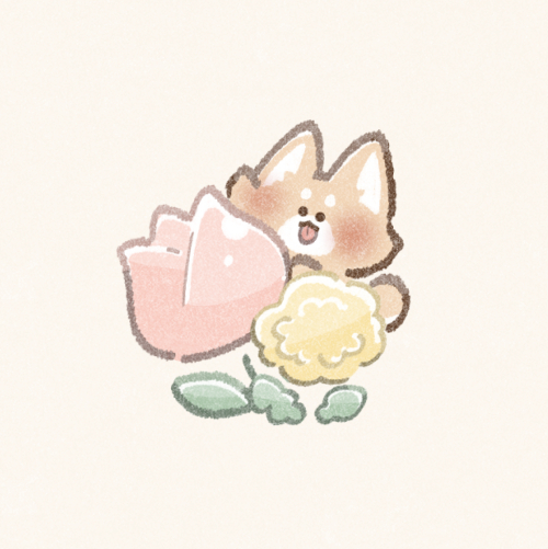 春のお花と柴犬さんのフリーアイコン