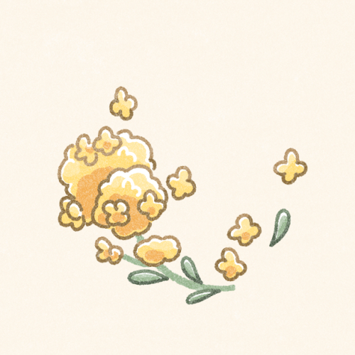 菜の花のフリーアイコン