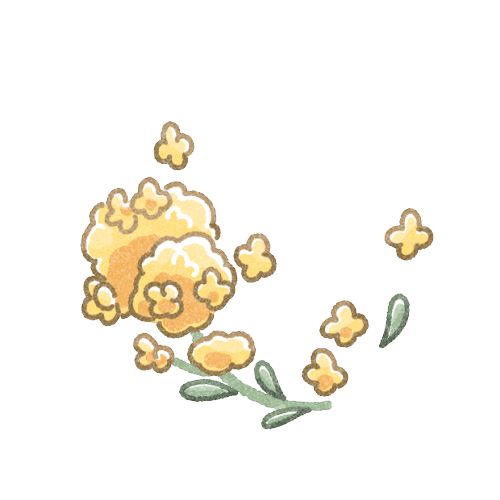 菜の花のフリーイラスト