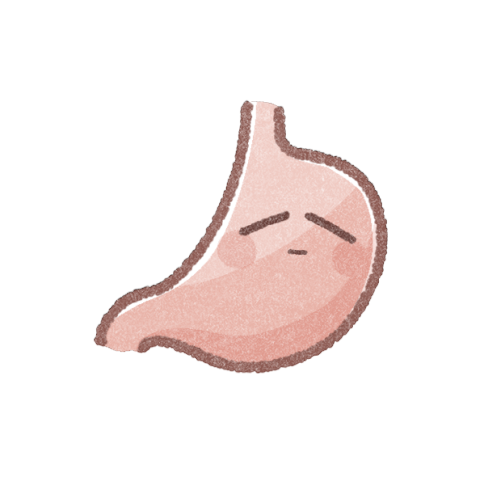 胃のフリーイラスト