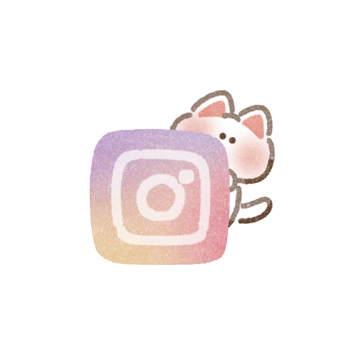 インスタと猫さんのアプリアイコン