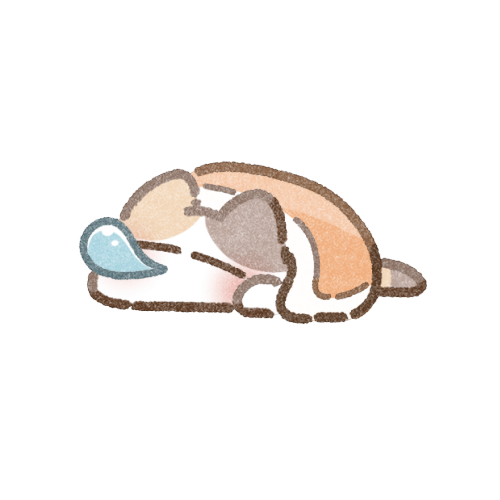 寝ている猫さんのフリーイラスト