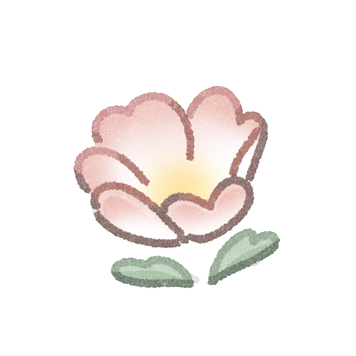 モモイロヒルザキツキミソウのフリーイラスト