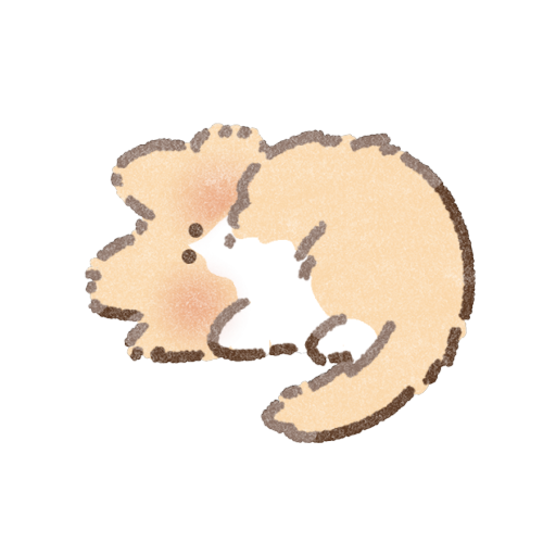 長毛種の猫さんのフリーイラスト