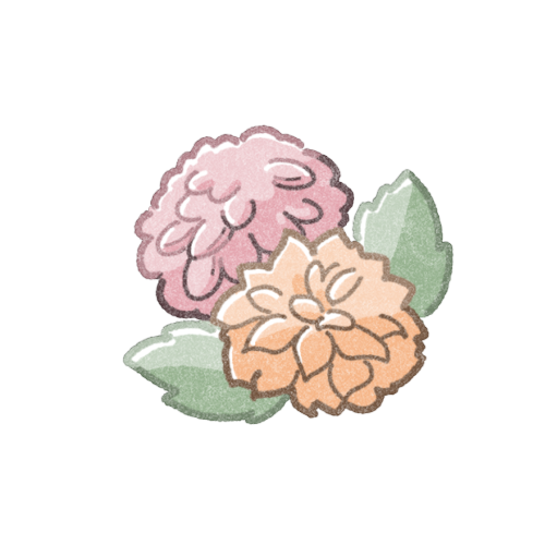 ダリアのフリーイラスト