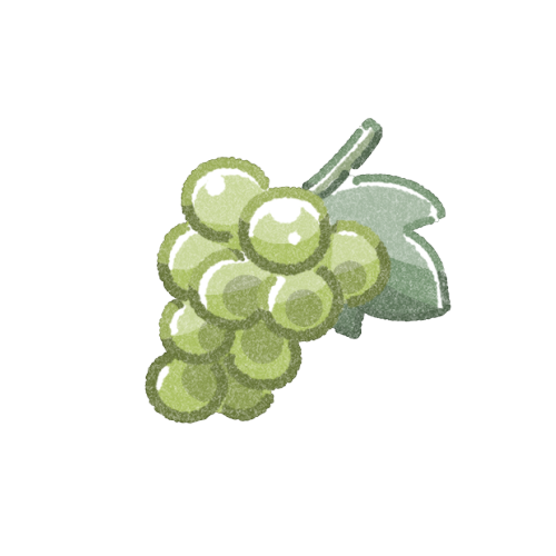 マスカットのフリーイラスト