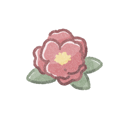 山茶花のフリーイラスト