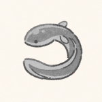 うなぎのフリーアイコン