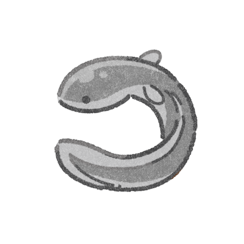 うなぎのフリーイラスト