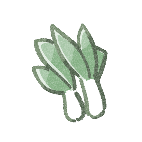 ネギのフリーイラスト