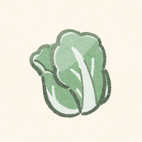 白菜のフリーアイコン