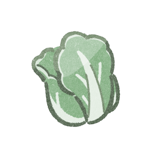 白菜のフリーイラスト