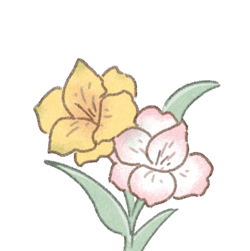 アルストロメリアのお花のフリーイラスト