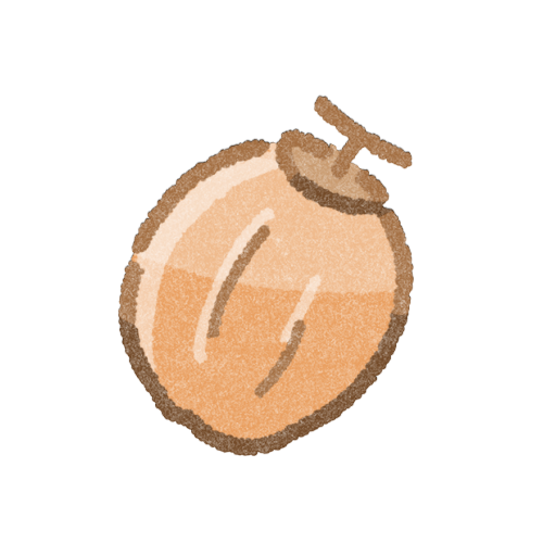 干柿のフリーイラスト