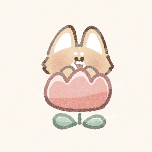 チューリップと柴犬さんのフリーアイコン