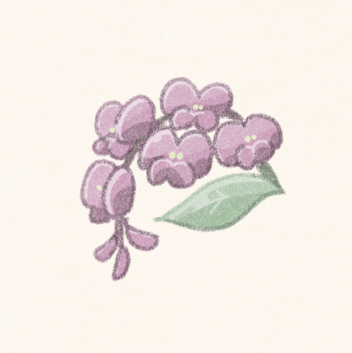 ハーデンベルギアのお花のフリーアイコン