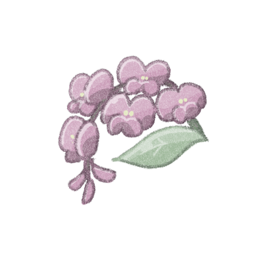 ハーデンベルギアのお花のフリーイラスト