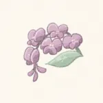 ハーデンベルギアのお花のフリーアイコン