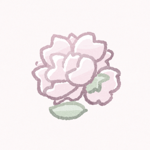 八重桜のフリーアイコン