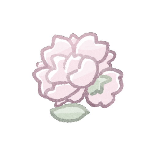 八重桜のフリーイラスト