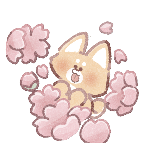 桜と柴犬さんのフリーイラスト