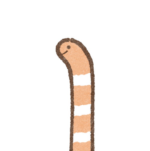 ちんあなご（ニシキアナゴ）のフリーイラスト