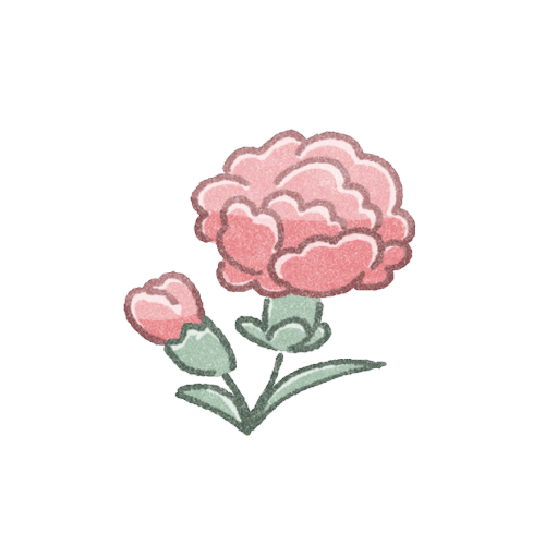 カーネーションのフリーイラスト