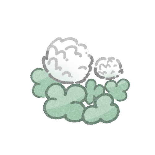 シロツメクサのフリーイラスト