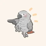 ヨウムのフリーアイコン