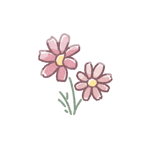 コスモスのフリーイラスト