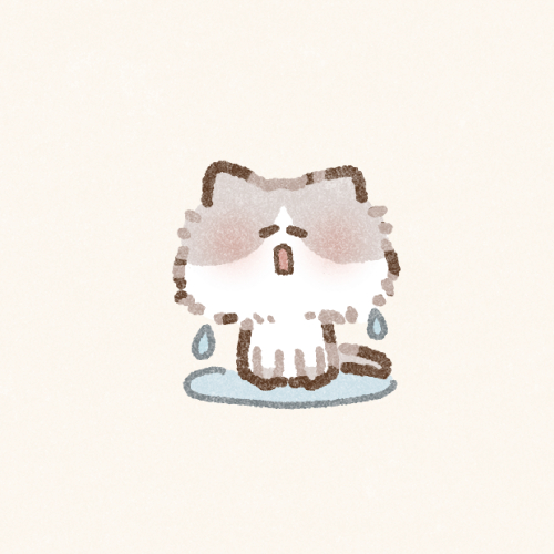 体を洗われてる猫さんのフリーアイコン
